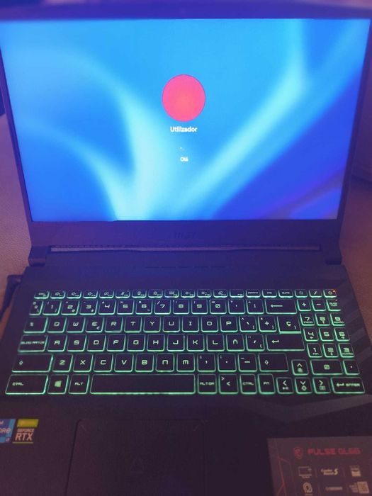 MSI Pulse GL66 11UEK-061XES