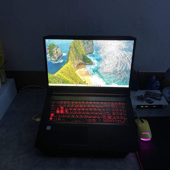 Ноутбук Acer Nitro 5 GTX 1650