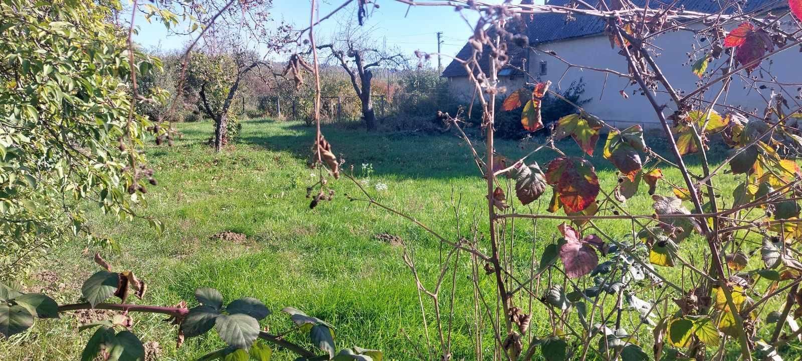 Будинок з великою ділянкою в затишному місці м. Ужгород