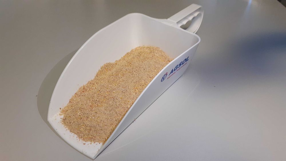 Kukurydza ziarno kiszone gniecione Corn Energy - cena brutto z dostawa