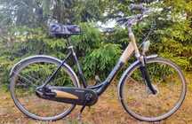 BATAVUS WySyŁkA NEXUS 8 damka ALU rozm. M/L 28 cali gazelle giant