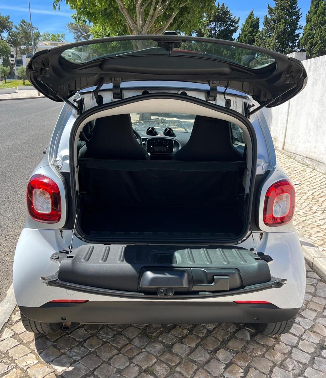 Smart Foutwo Impecável, 1 dono