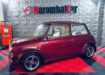 MINI 1000