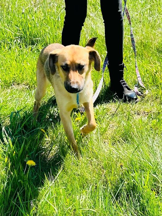 Kochana Cola rozgląda się za domem