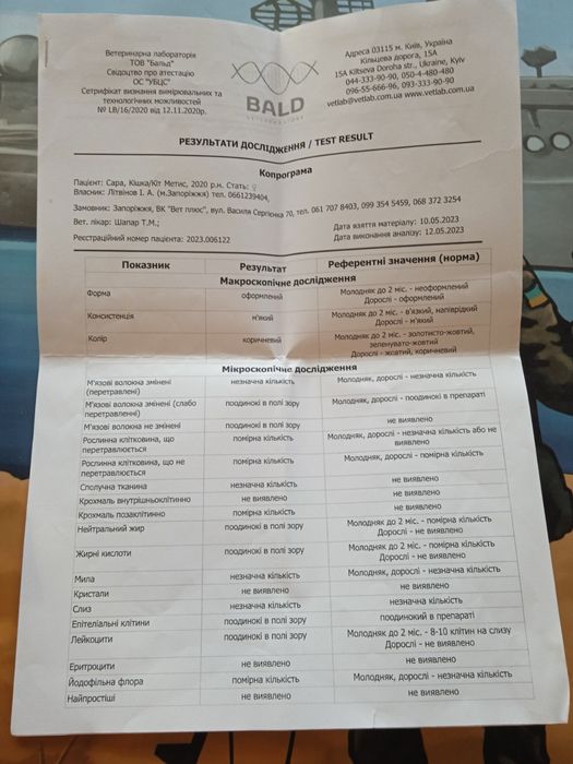 Віддам кішечку в дуже хороші руки (з доплатою)