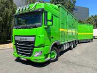 Daf xf460 z przyczepą do przewozu zwierząt/do bydła/do trzody/