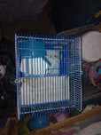 Gaiolas de hamsters