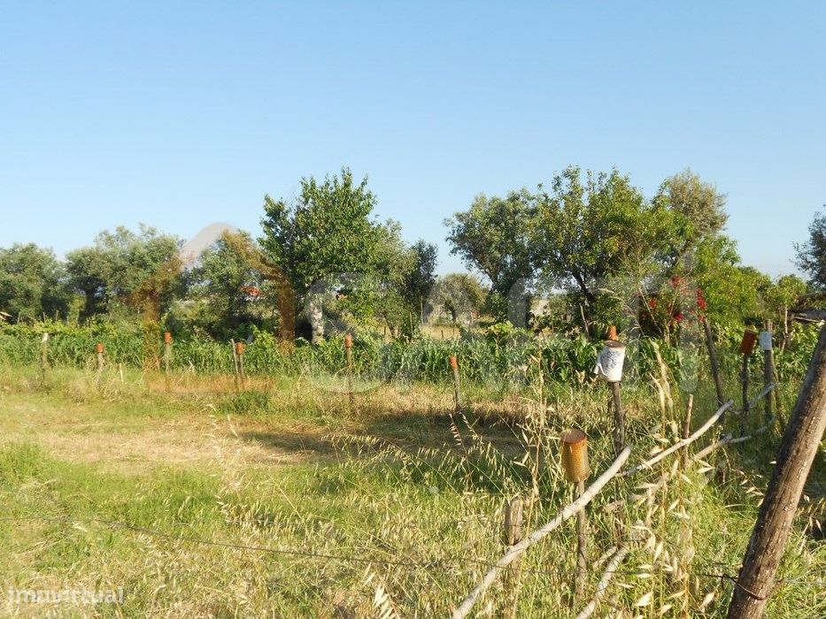Terreno Misto De 2.820M² Na Estrada De Vale De Madeiros - Potencial...