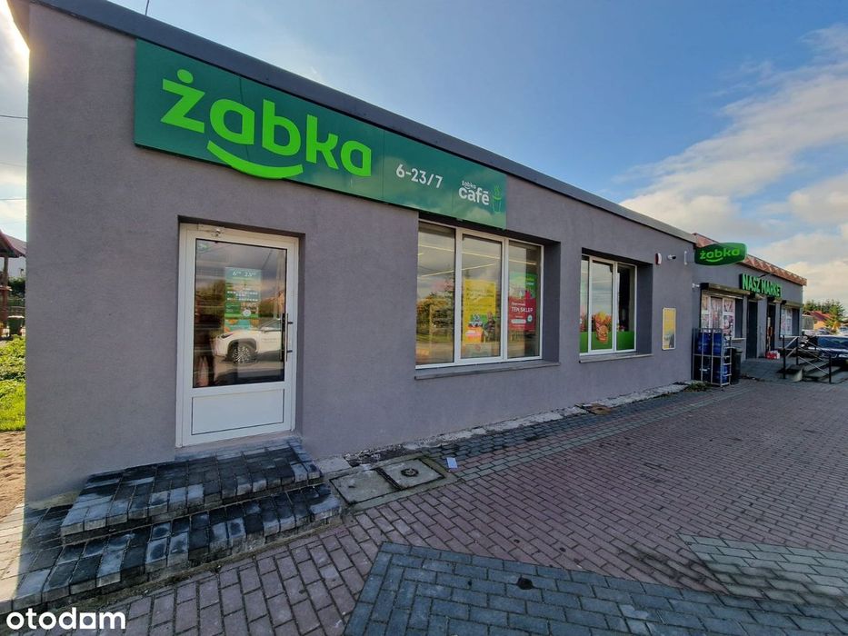 Gotowiec inwestycyjny, żabka, roi 9,8%