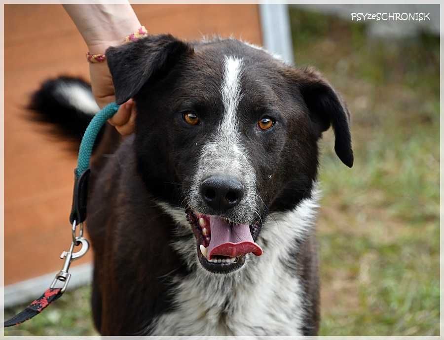 Sajgon: jego energia Ci się udzieli!