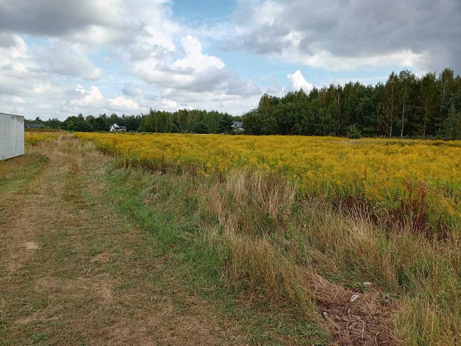 Sprzedam działki budowlane