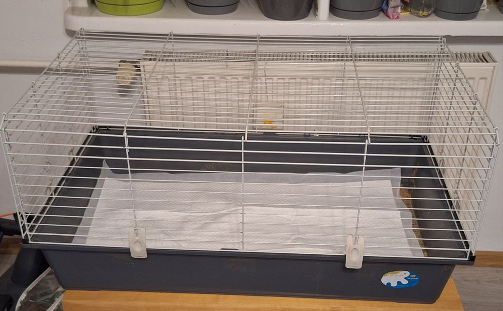 Klatka dla królika/swinki morskiej