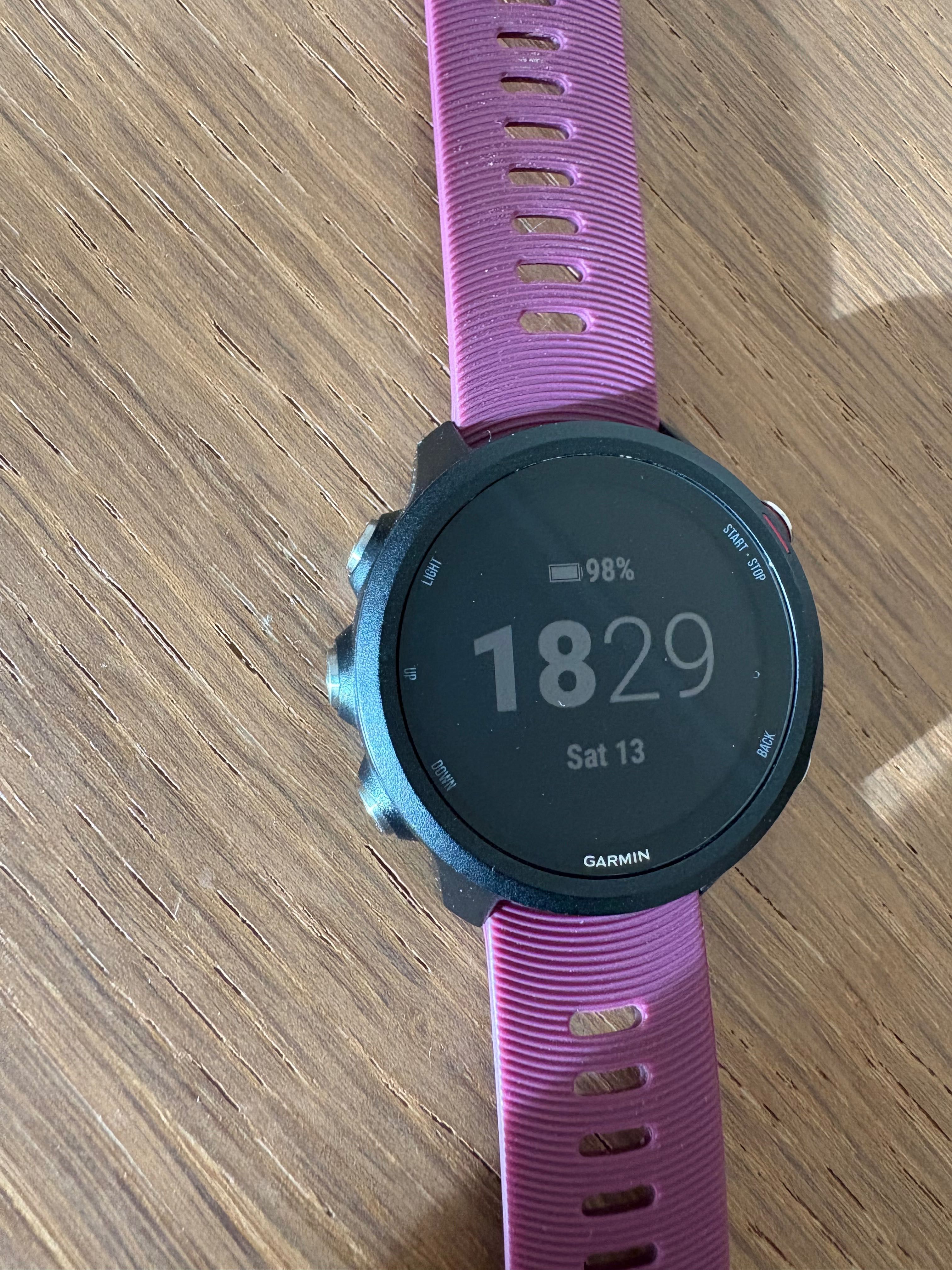 Garmin Forerunner 245