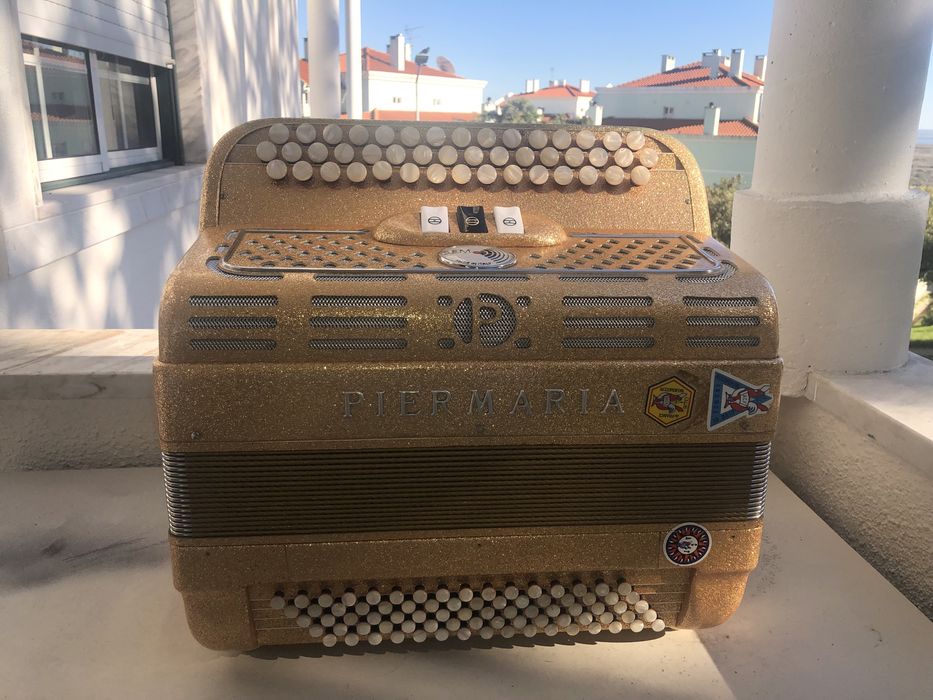 Acordeão Piermaria com registos à 2 voz + mala e correias