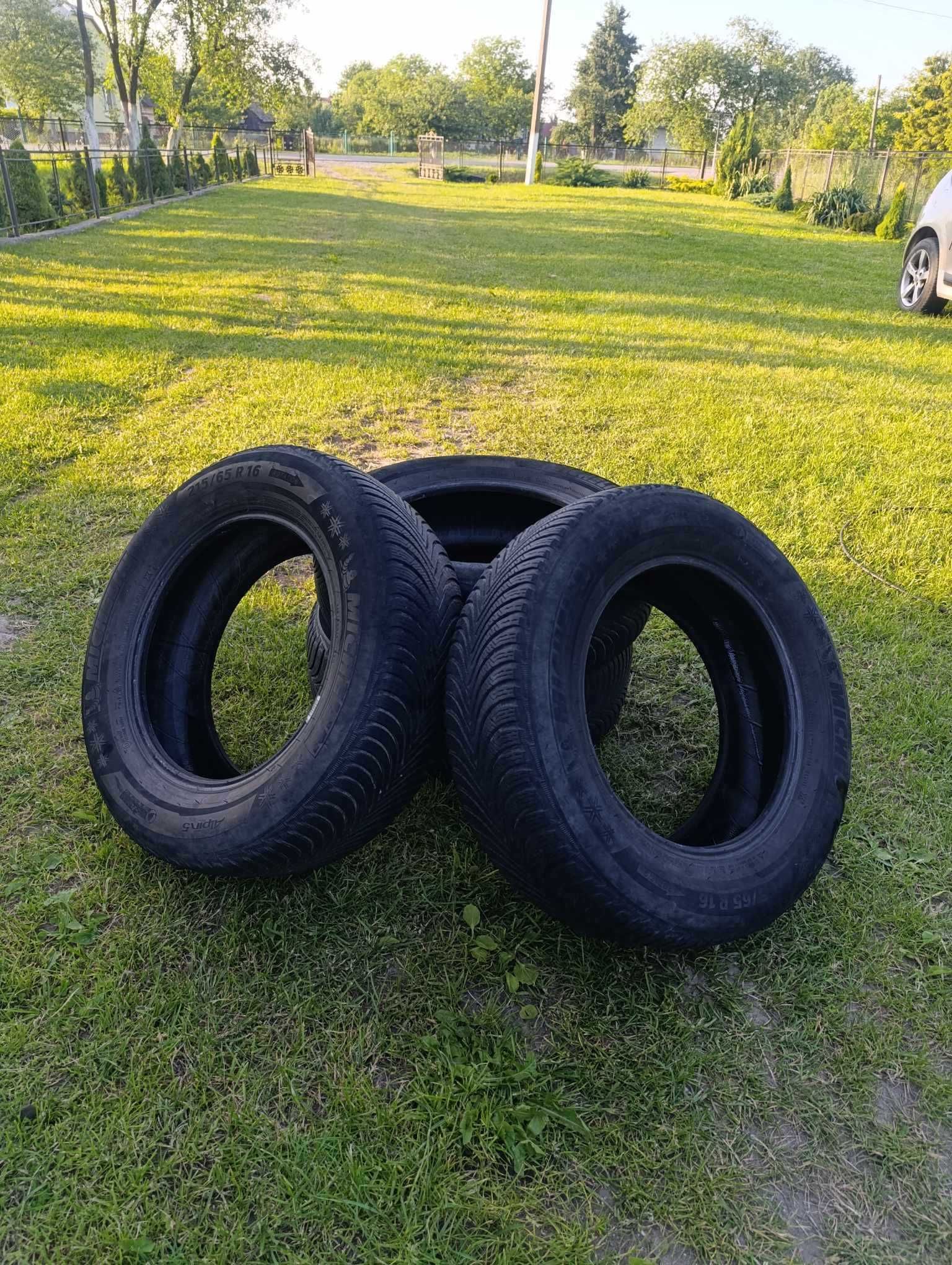 Michelin Alpin 5