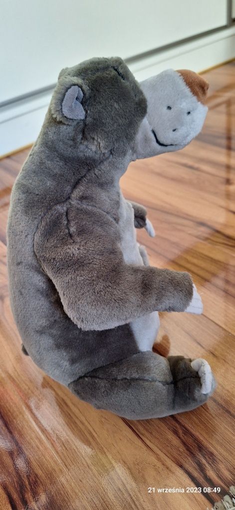 Maskotka Miś Baloo