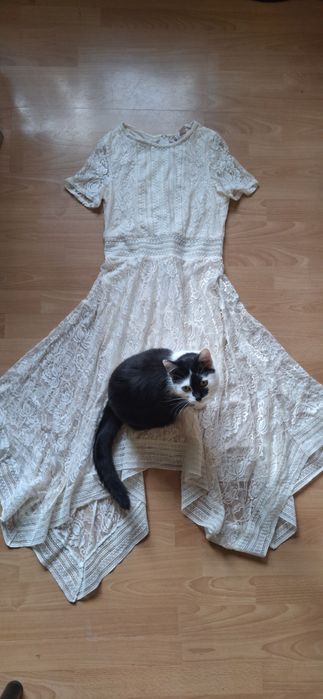 Sukienka beżowa roz 36