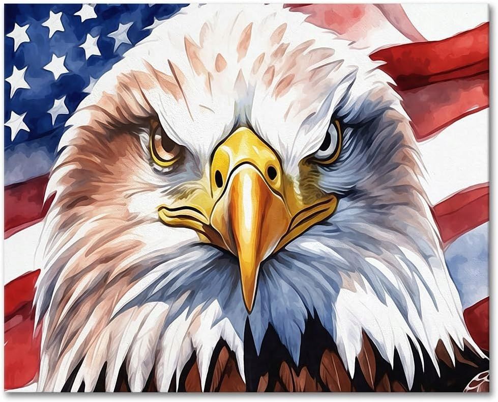 DIY Malowanie po Numerach Orzeł i Flaga USA 40x50cm Farby Akrylowe