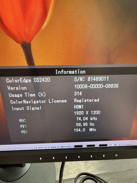 Eizo coloredge 2420 | 314 godzin pracy | jak nowy | monitor graficzny