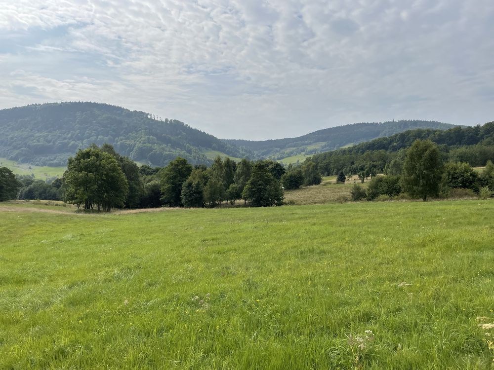 Działka w Łomnicy 9500 m2