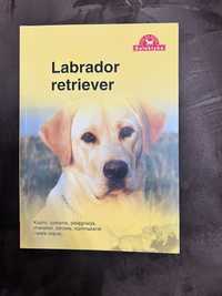 Labrador retriever Galaktyka
