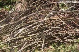 ZA DARMO Żwir; Ziemia; Gałęzie; Korzenie