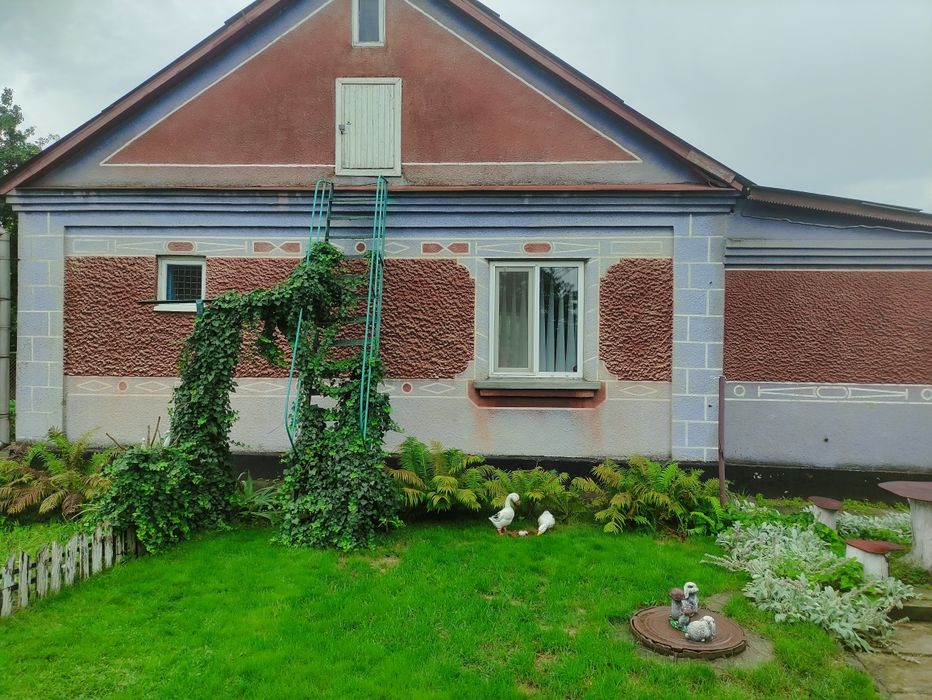 Будинок з присадибною ділянкою