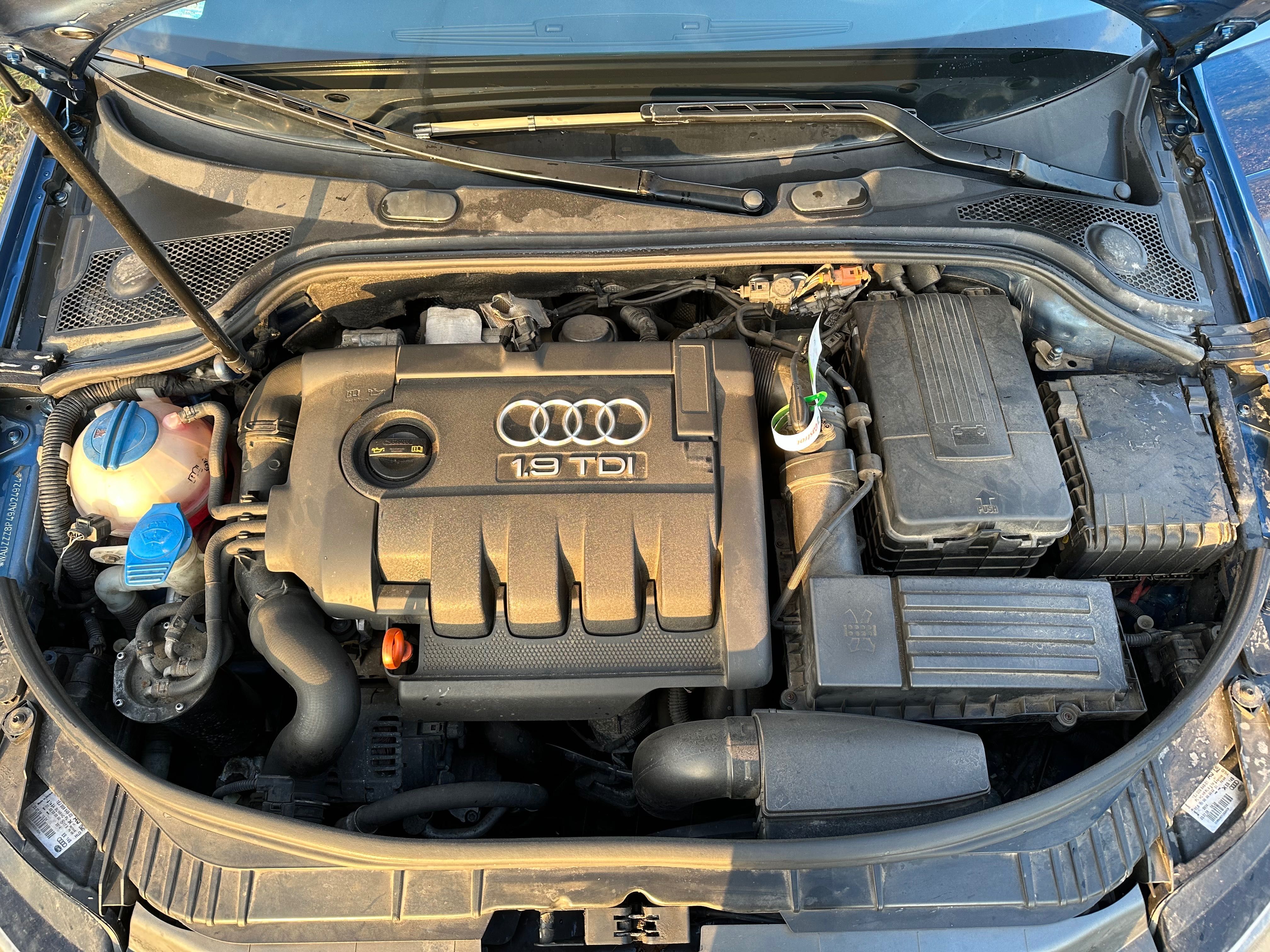 Audi A3 8P Sportback