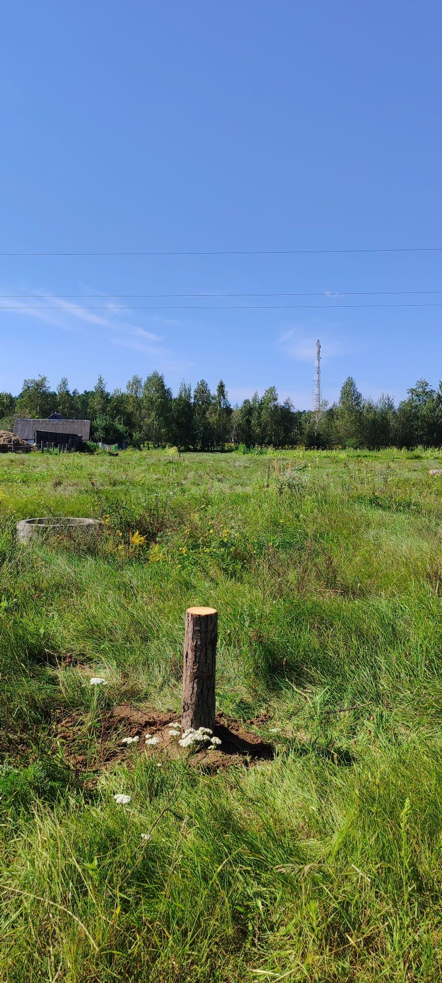 Продається ділянка під забудову  Олевськ