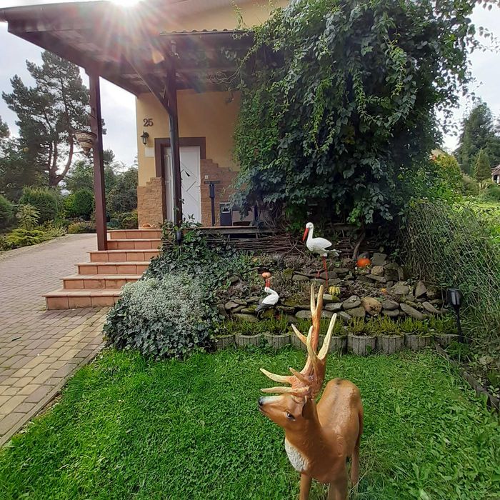 Noclegi Bieszczady Smerek Wetlina (wolne od 24pazdz