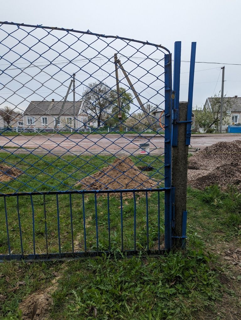 Металеві Ворота з фірткою паркан