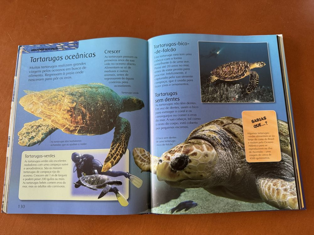 Livro Vida nos oceanos