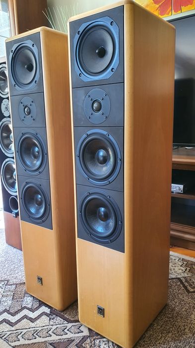 Bezbłędnie punktowy bass kolumny IQ system 200 rozdzielczość jakość