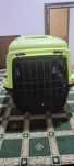 TK-Pet Senda Gipsy Transportadora Verde para cães e gatos