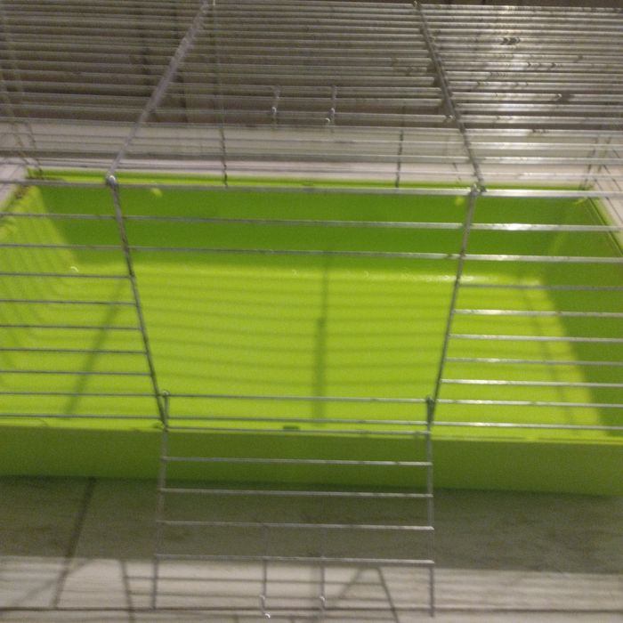 Klatka dla królika świnki gratis miseczka