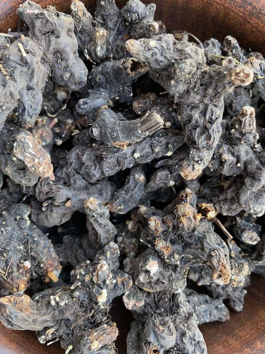 сухий корінь калгана, корень калгана, корінь калгану сушений