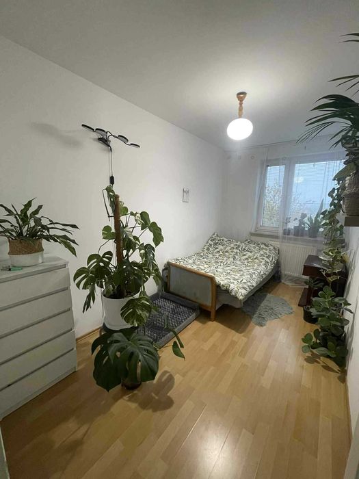 Wynajmę mieszkanie w Biłgoraju