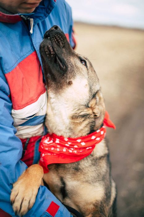 Муха дуже чекає на свою турботливу і люблячу сім'ю..