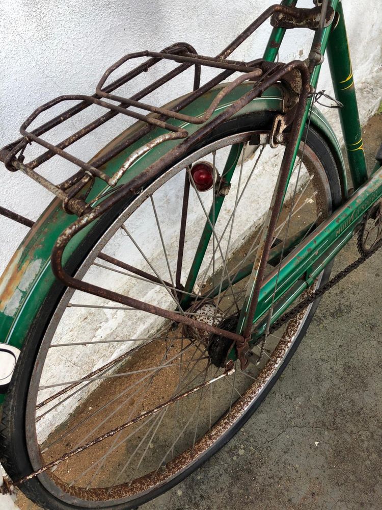 Bicicleta pasteleira verde