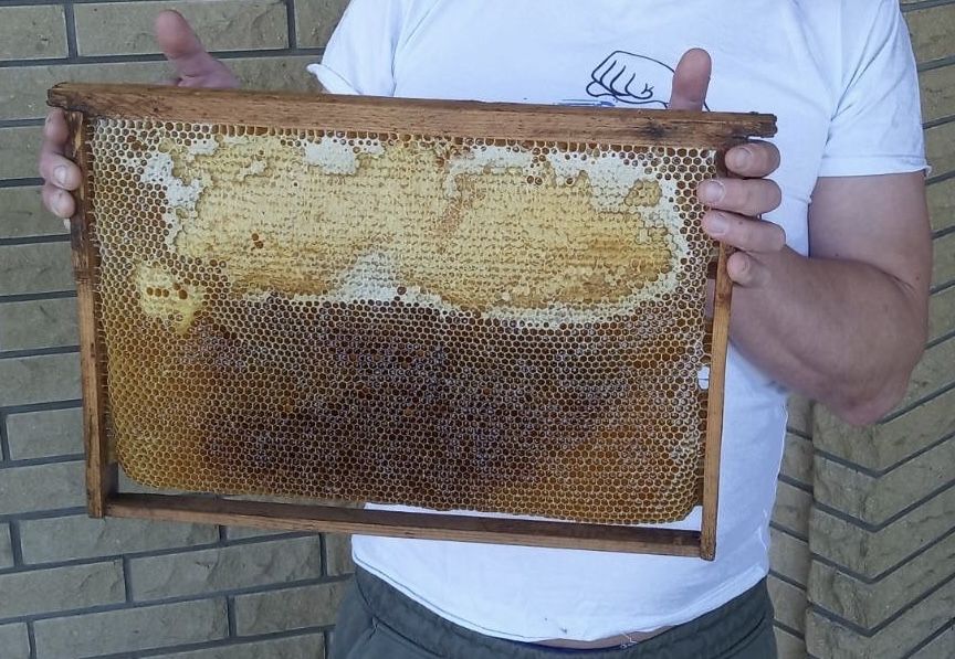 Продам домашній мед (бджілки у Київській області) 70 літрів