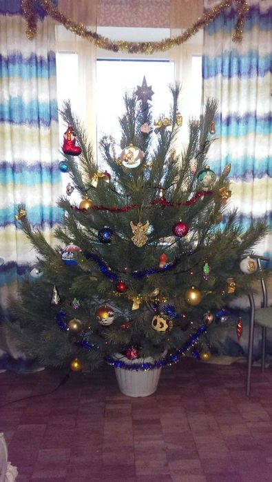 Шторы комнатные (комплект штор) 130×242