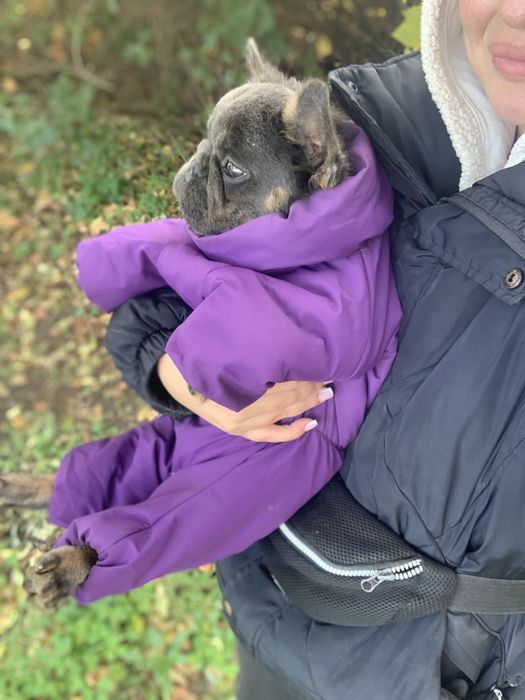 Піку солоденький пушистік