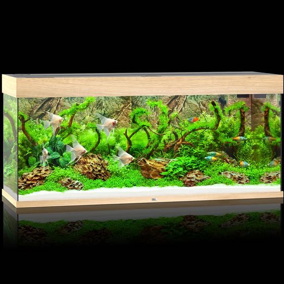 NOWE Akwarium Juwel Rio 240 LED, zestaw akwariowy