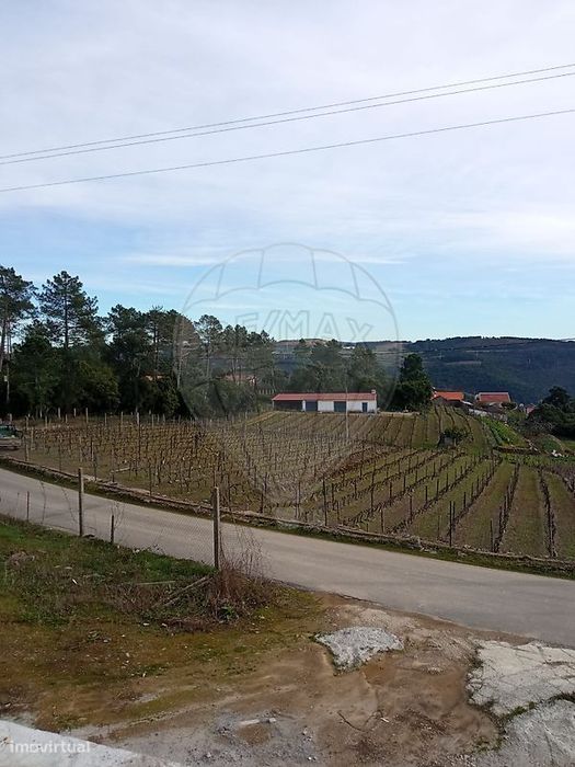 Terreno  para venda