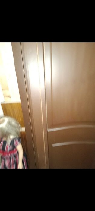 Двері вхідні чи міжкімнатні