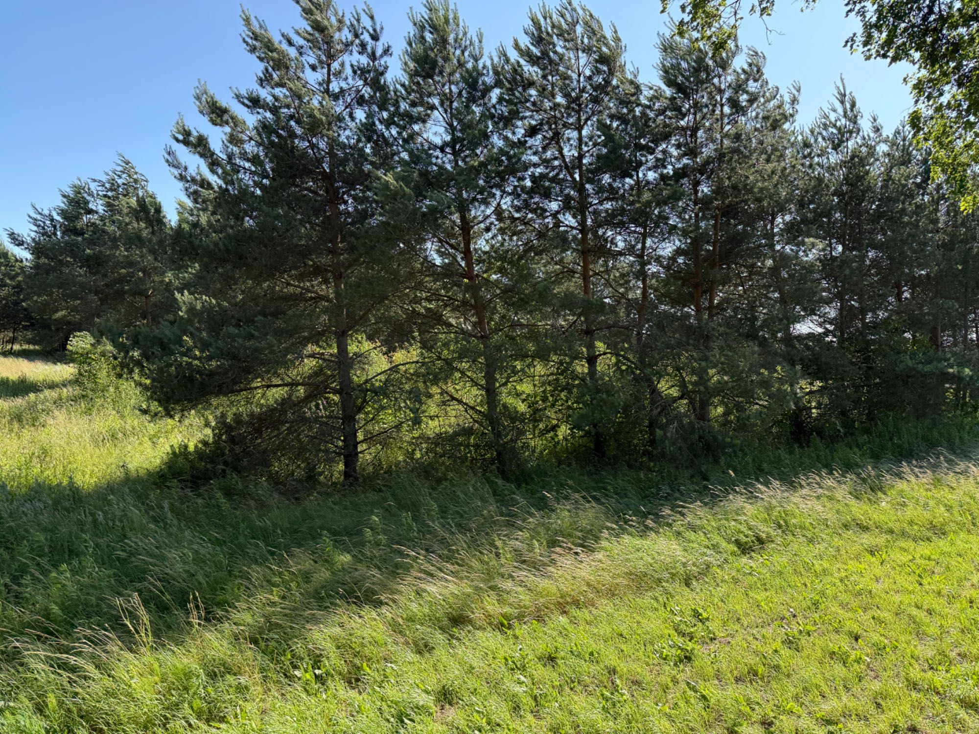 Sprzedam działkę budowlaną 1200m2 w miejscowości Przezmark