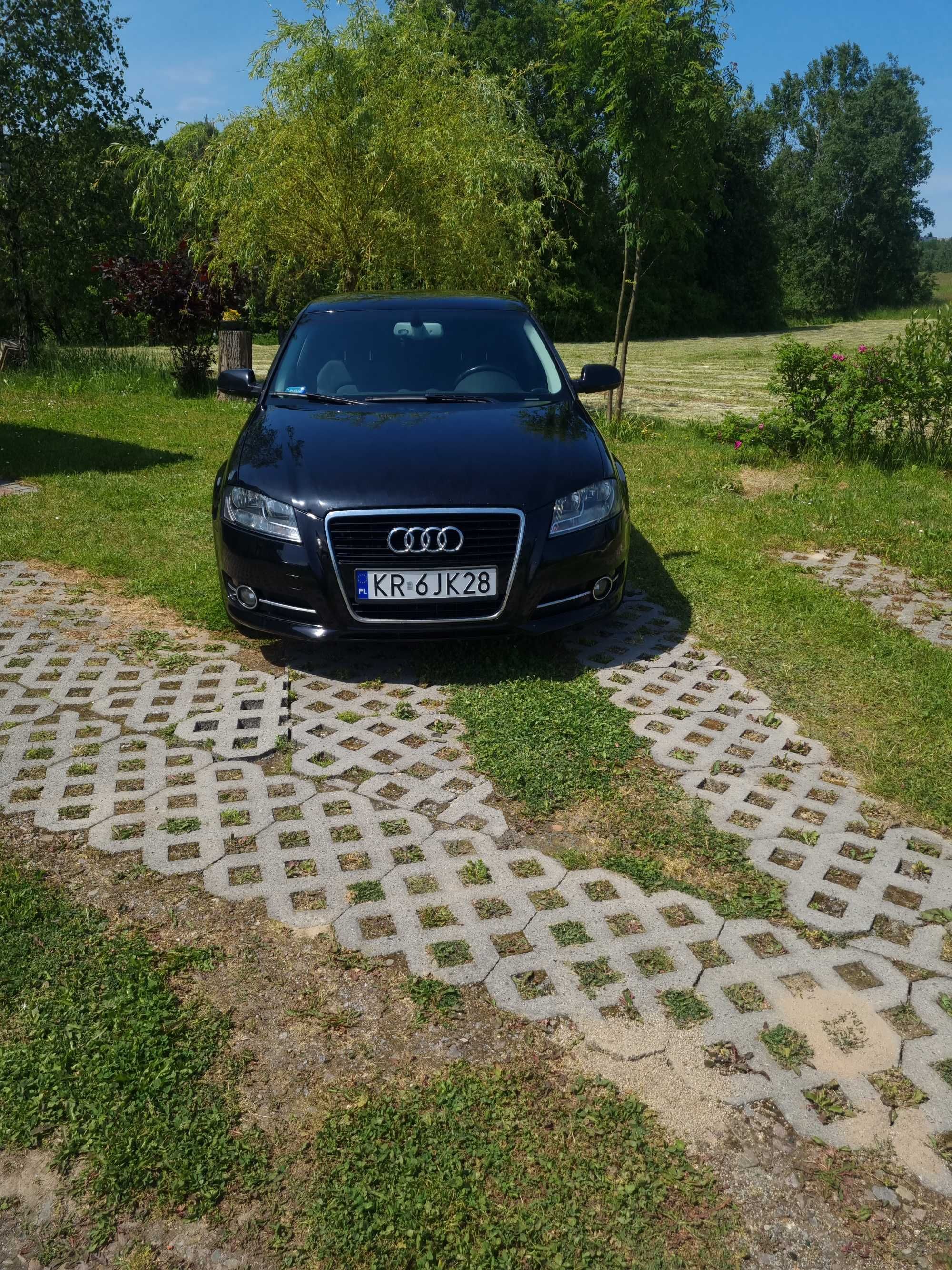 Audi a3 8p 2011 rok 1.6 tdi (Faktury,Nowy Dwumas,hamulce itp)