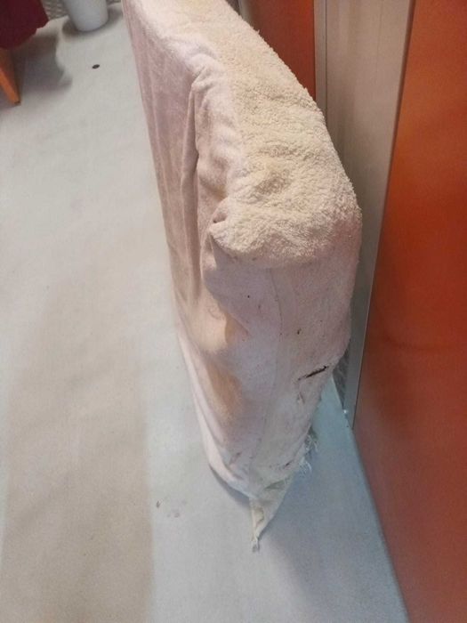 Cama usada para cães