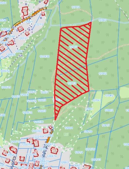 Działka Leśna STRACONKA Bielsko-Biała 1,5 ha 15029m2