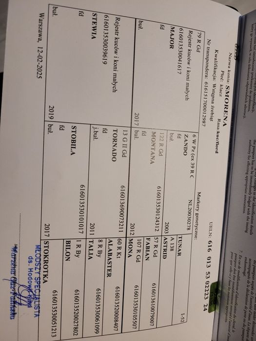 Klacz fiord, klacz fiordzka, wpis do księgi wstępnej